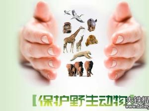 2016年深圳野生动物保护法全文实施条例解读