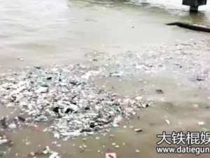 "12・18"长江倾倒垃圾污染环境案 新进展：6名嫌犯被批捕