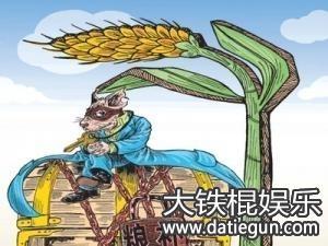2017年广西省大学生村官期满新政策,村官期满规定全文