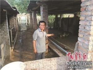 山西蒲县下限期十天卖羊令,价值9万多元的羊被两万多元贱卖