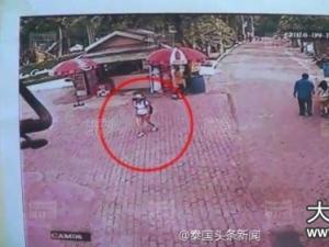 中国游客在泰国老虎园失踪,至今未发现踪迹