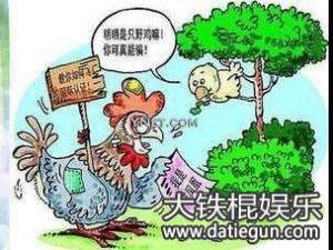 2016年河南省虚假大学最全名单公布,如何查询辨别野鸡大学